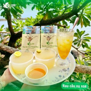 Rau câu rong sụn